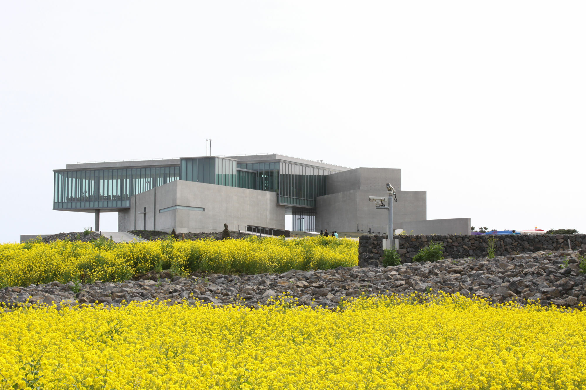 Hotel Phoenix Island Seogwipo Exterior foto