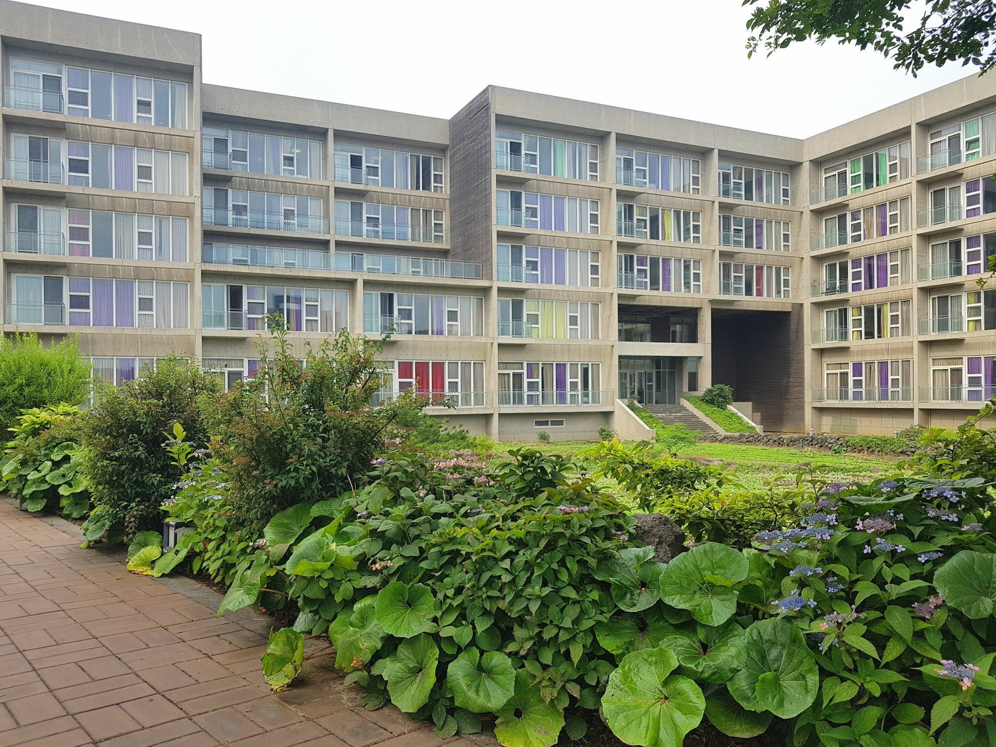 Hotel Phoenix Island Seogwipo Exterior foto